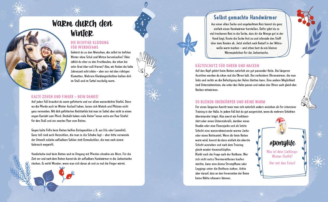 InsideView 6