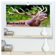 Rotwild. Edle Hirsche, stolze Kühe (hochwertiger Premium Wandkalender 2026 DIN A2 quer), Kunstdruck in Hochglanz - Elisabeth Stanzer