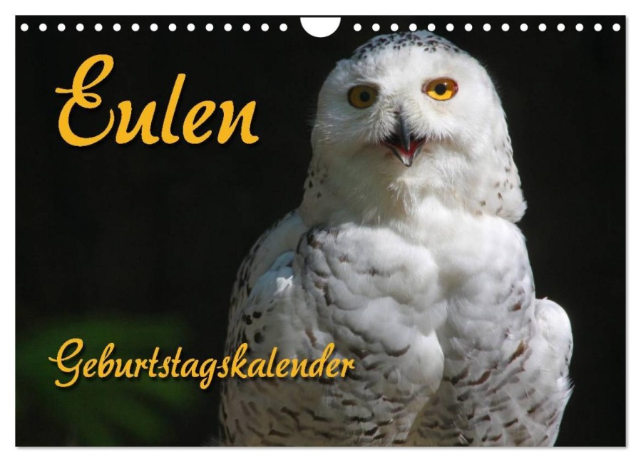 Eulen (Wandkalender 2026 DIN A4 quer), CALVENDO Monatskalender - Pferdografen. De Antje Lindert-Rottke Martina Berg