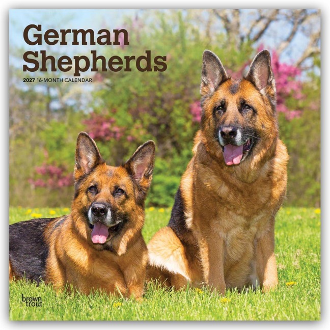 German Shepherds - Deutsche Schäferhunde 2027 - 16-Monatskalender - Browntrout Publishers