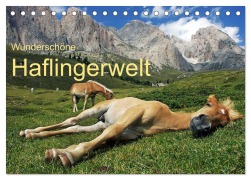 Cover-Bild zum Titel 'Wunderschöne Haflingerwelt (Tischkalender 2026 DIN A5 quer), CALVENDO Monatskalender' von 'Michael Rucker'