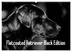 Flatcoated Retriever Black Edition (Wandkalender 2025 DIN A2 quer), CALVENDO Monatskalender - Beatrice Müller