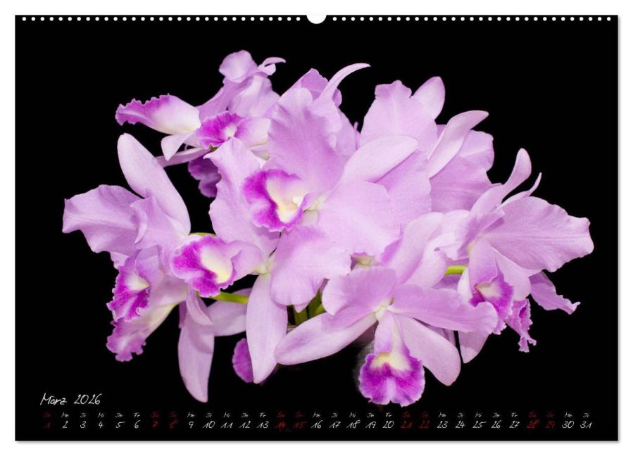 InsideView 7