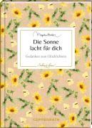 Cover-Bild zum Titel 'Die Sonne lacht für dich' von ''