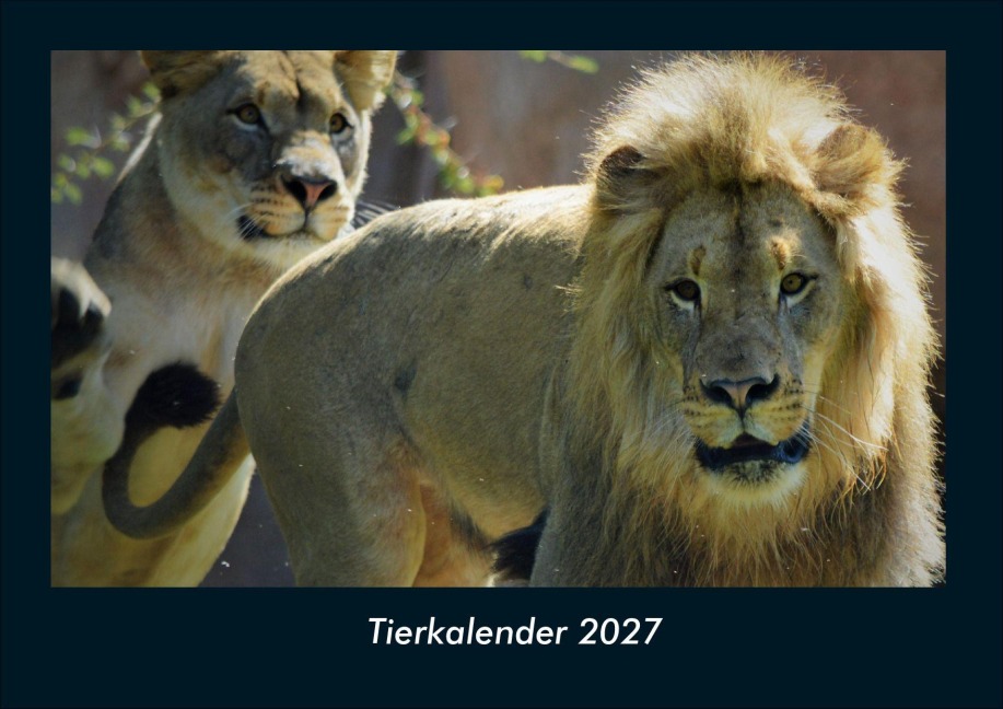 Tierkalender 2027 Fotokalender DIN A4 - Tobias Schmitt, Kevin Heber