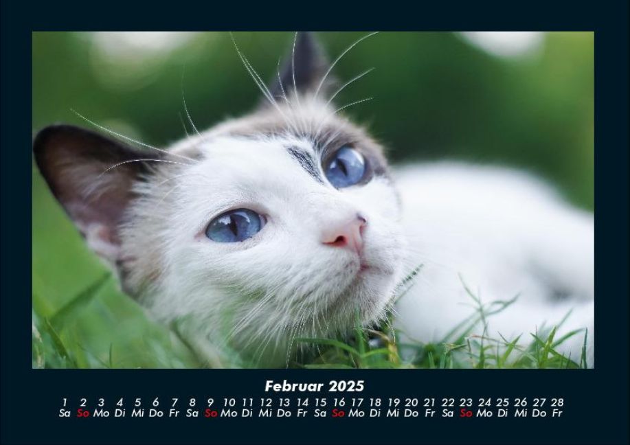InsideView 6