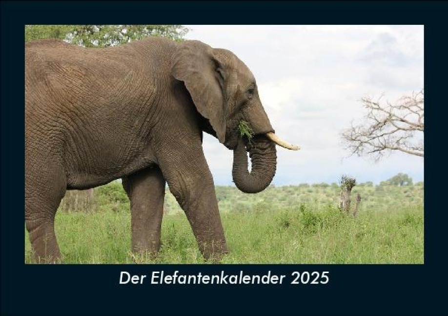 Der Elefantenkalender 2025 Fotokalender DIN A5 - Tobias Becker