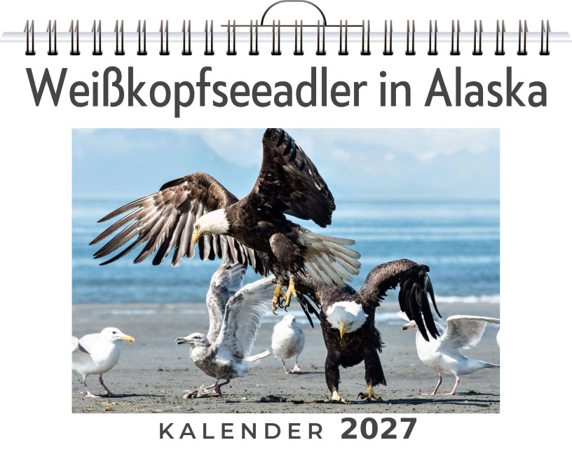 Weißkopfseeadler in Alaska - Noah Bauer