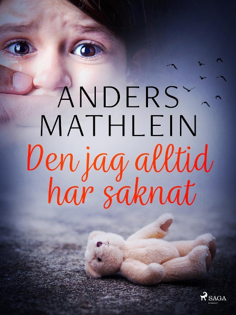 Den jag alltid har saknat - Anders Mathlein