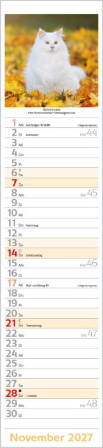 InsideView 11