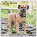 Border Terrier 2025 - 16-Monatskalender - Avonside Publishing Ltd