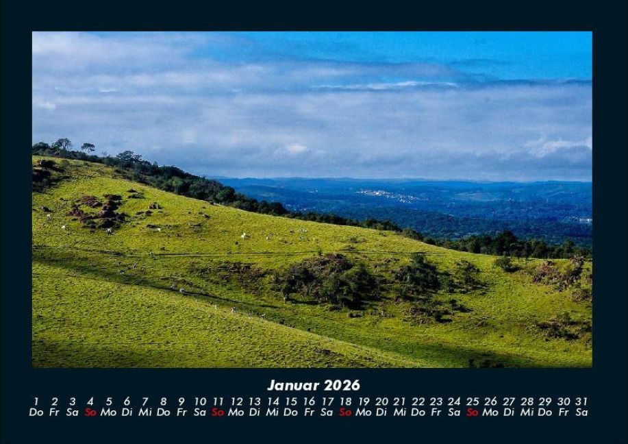 InsideView 5