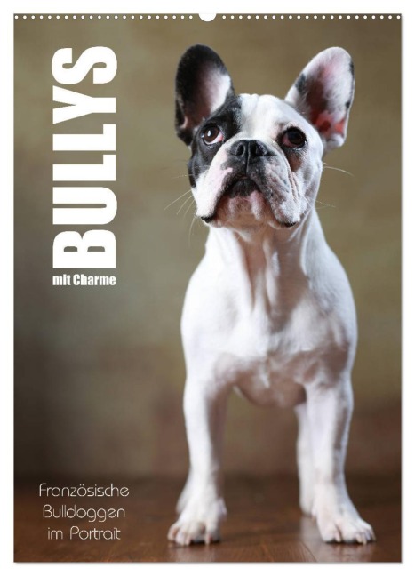 Bullys mit Charme - Französische Bulldoggen im Portrait (Wandkalender 2026 DIN A2 hoch), CALVENDO Monatskalender - Jana Behr
