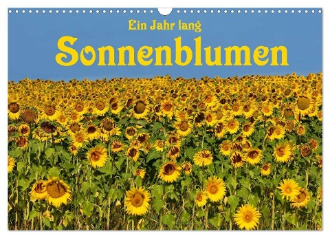 Ein Jahr lang Sonnenblumen (Wandkalender 2024 DIN A3 quer), CALVENDO Monatskalender - Anke van Wyk - www. germanpix. net