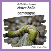 Cover-Bild zum Titel 'Notre belle campagne' von 'Mélanie Lebihain'