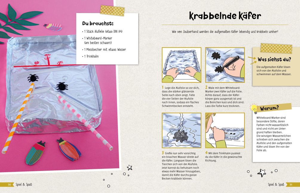 InsideView 4
