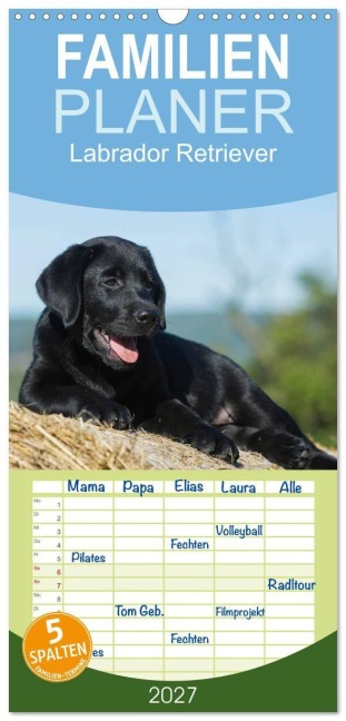 Familienplaner 2027 - Labrador Retriever 2027 mit 5 Spalten (Wandkalender, 21 x 45 cm) CALVENDO - Sigrid Starick