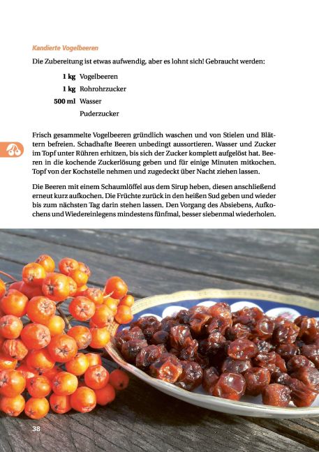 InsideView 11