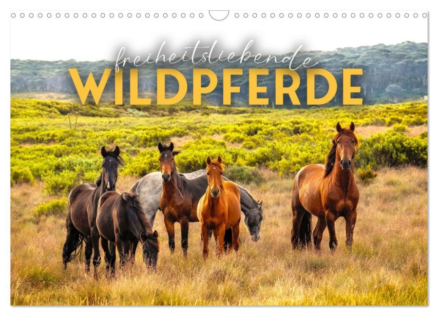Freiheitsliebende Wildpferde (Wandkalender 2026 DIN A3 quer), CALVENDO Monatskalender - Happy Monkey
