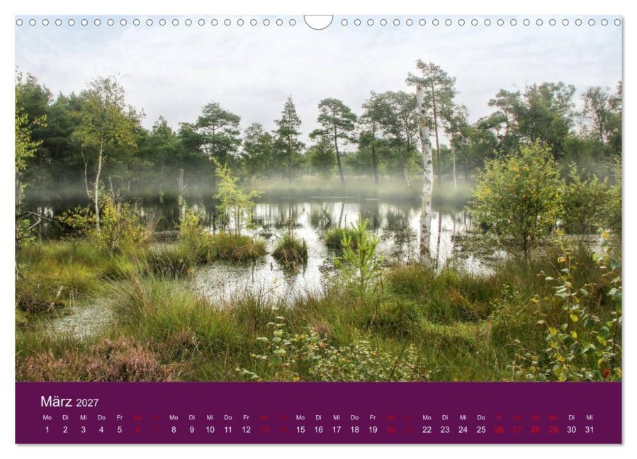 InsideView 8