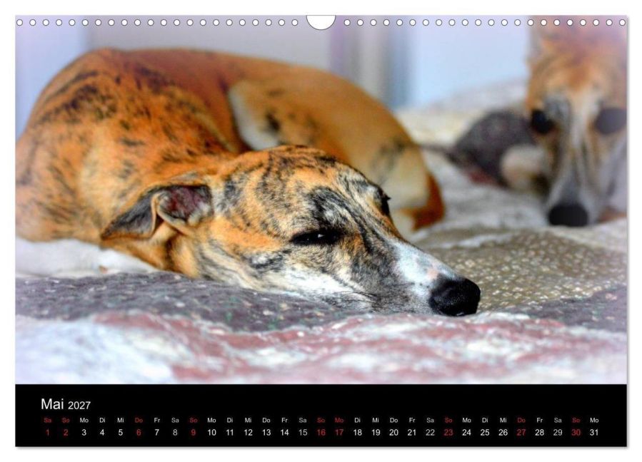 InsideView 10