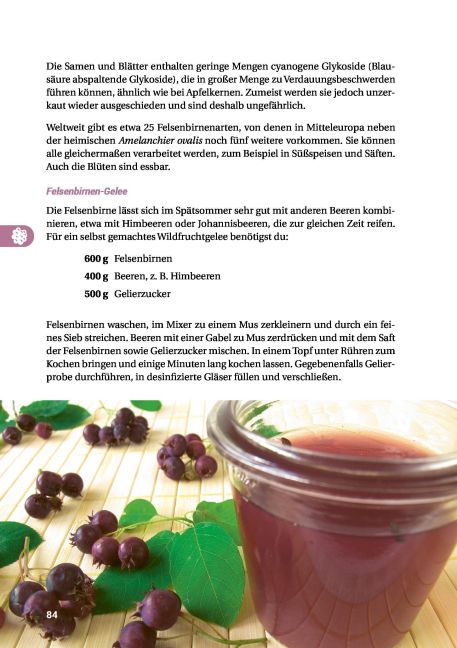 InsideView 15