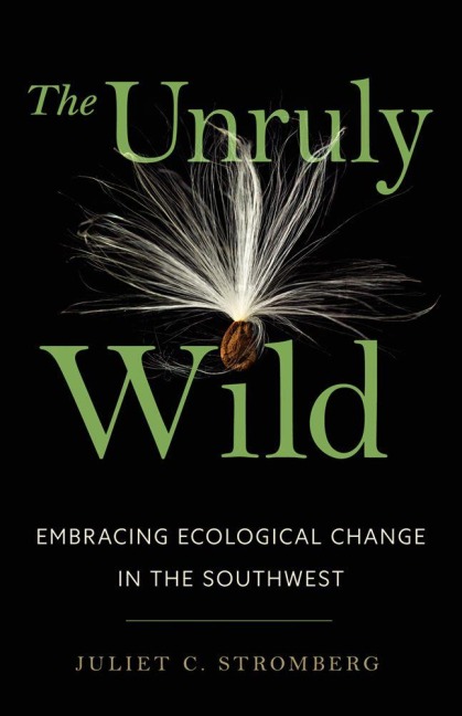 The Unruly Wild - Juliet C Stromberg