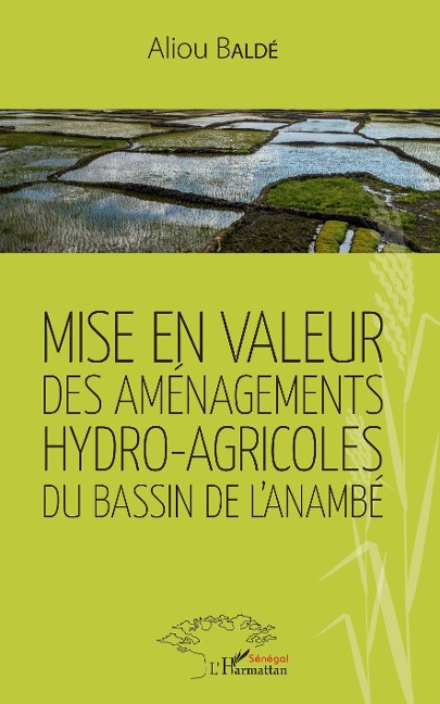 Mise en valeur des aménagements hydro-agricoles du bassin de l'Anambé - Balde