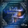 Cover-Bild zum Titel 'Wunder kommen leise' von 'Paula Roose'