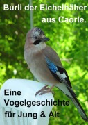 Cover-Bild zum Titel 'Burli der Eichelhäher aus Caorle' von 'Karl Breitenegger'