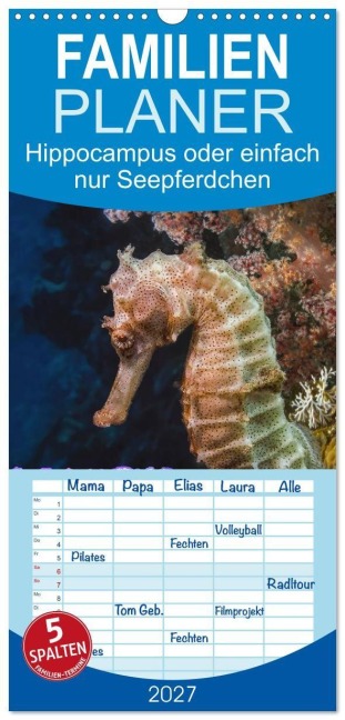 Familienplaner 2027 - Hippocampus oder einfach nur Seepferdchen mit 5 Spalten (Wandkalender, 21 x 45 cm) CALVENDO - Dieter Gödecke