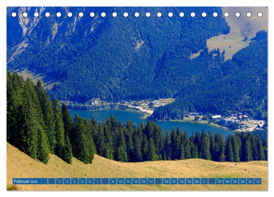 InsideView 7