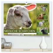 Cover-Bild zum Titel 'Niedliche Schäfchen (hochwertiger Premium Wandkalender 2026 DIN A2 quer), Kunstdruck in Hochglanz' von 'Sabine Löwer'