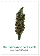 Cover-Bild zum Titel 'Die Faszination der Früchte (Wandkalender 2026 DIN A2 hoch), CALVENDO Monatskalender' von 'Anneli Hegerfeld-Reckert'