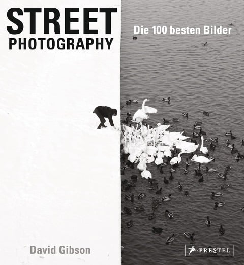 Street Photography: Die 100 besten Bilder - David Gibson