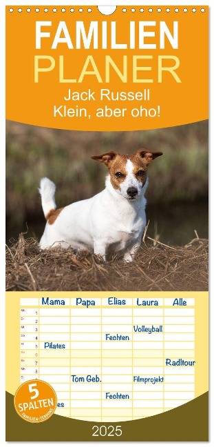 Familienplaner 2025 - Jack Russell - Klein, aber oho! mit 5 Spalten (Wandkalender, 21 x 45 cm) CALVENDO - Annett Mirsberger Tierpfoto. De