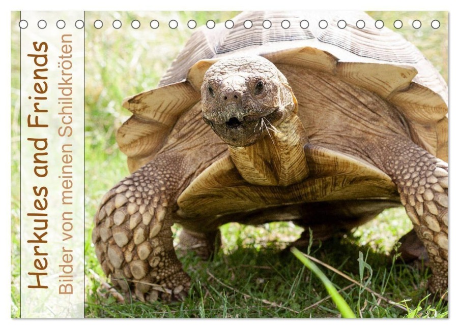 Herkules and Friends (Tischkalender 2027 DIN A5 quer), CALVENDO Monatskalender - Marion Sixt
