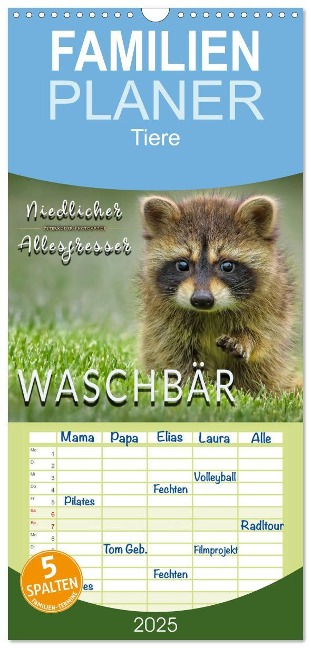 Familienplaner 2025 - Waschbär - Niedlicher Allesfresser mit 5 Spalten (Wandkalender, 21 x 45 cm) CALVENDO - Peter Roder