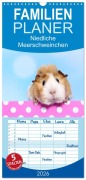 Familienplaner 2026 - Niedliche Meerschweinchen mit 5 Spalten (Wandkalender, 21 x 45 cm) CALVENDO - Jeanette Hutfluss