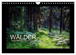 Cover-Bild zum Titel 'Wälder, fotografiert auf vier Kontinenten (Wandkalender 2026 DIN A4 quer), CALVENDO Monatskalender' von 'Richard Walliser'