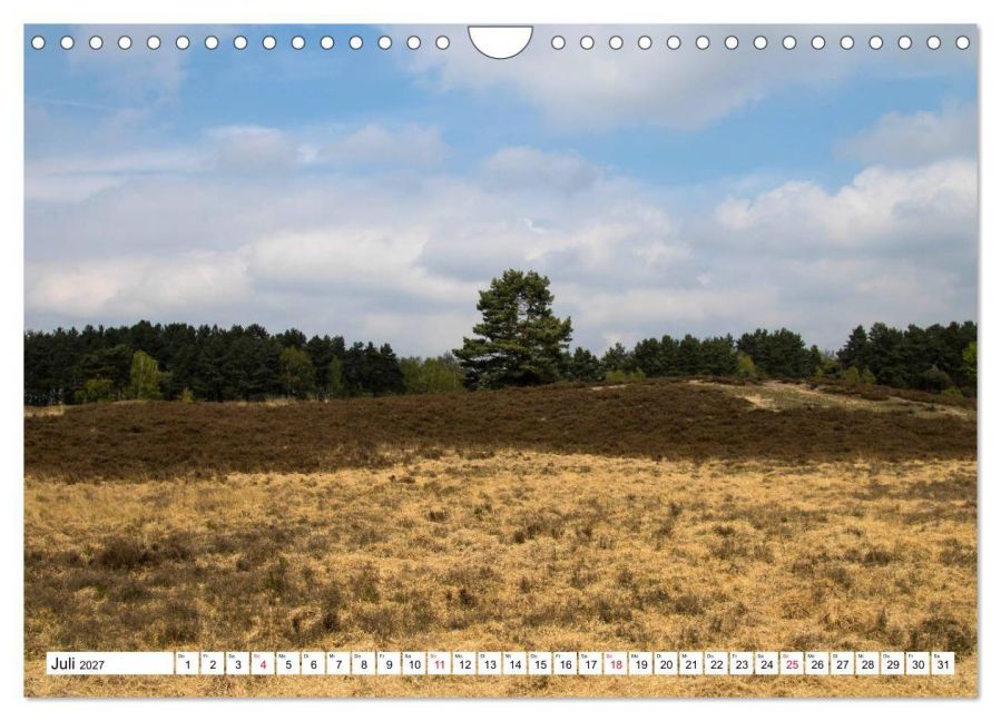 InsideView 12