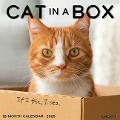 Cat in a Box 2025 12 X 12 Wall Calendar - Willow Creek Press
