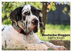 Deutsche Doggen - Sanfte Riesen (Tischkalender 2025 DIN A5 quer), CALVENDO Monatskalender - Marion Reiß - Seibert