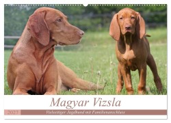 Cover-Bild zum Titel 'Magyar Vizsla - Vielseitiger Jagdhund mit Familienanschluss (Wandkalender 2027 DIN A2 quer), CALVENDO Monatskalender' von 'Barbara Mielewczyk'
