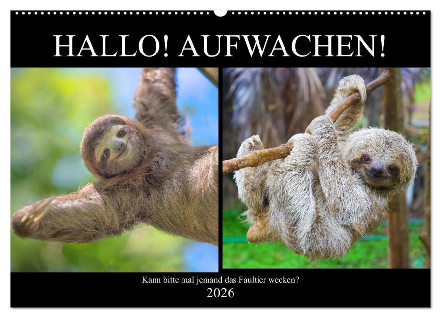 Hallo! Aufwachen! Kann bitte mal jemand das Faultier wecken? (Wandkalender 2026 DIN A2 quer), CALVENDO Monatskalender - Rose Hurley