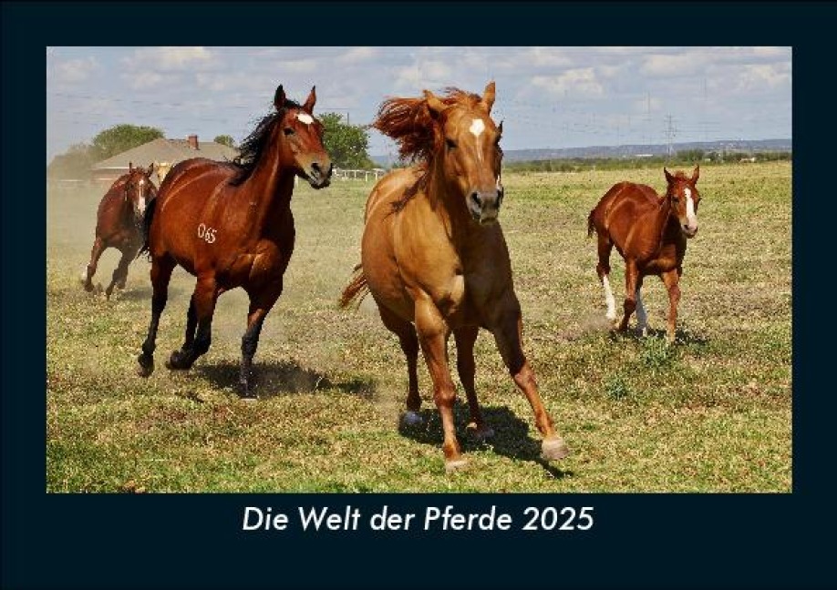 Die Welt der Pferde 2025 Fotokalender DIN A5 - Tobias Becker