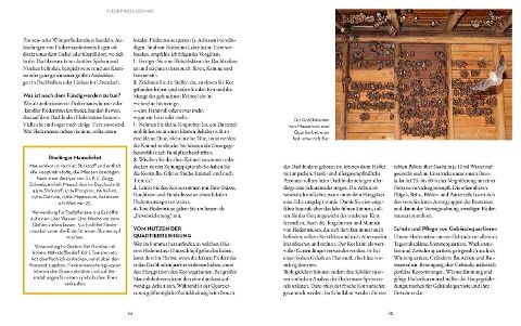 InsideView 4