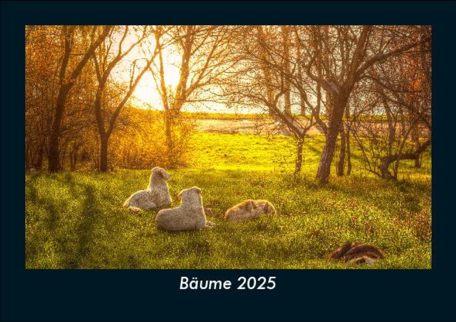 Bäume 2025 Fotokalender DIN A5 - Tobias Becker