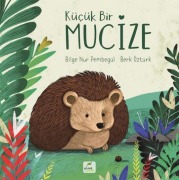 Cover-Bild zum Titel 'Kücük Bir Mucize' von 'Bilge Nur Pembegül'