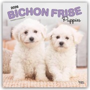 Bichon Frisé Puppies - Bichon Frisé Welpen 2026 - 16-Monatskalender - Browntrout Publishers